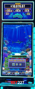 Casino Ao Vivo bet227